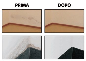 muffa sui muri prima dopo